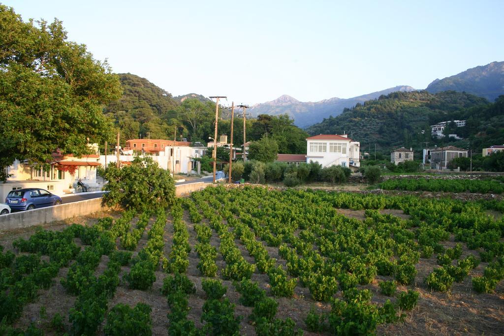 Hotel Apartment Agios Konstantinos Zewnętrze zdjęcie